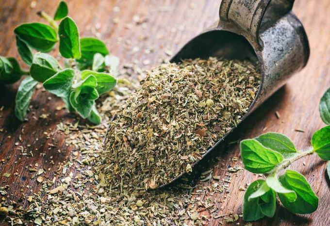 گیاه آویشن